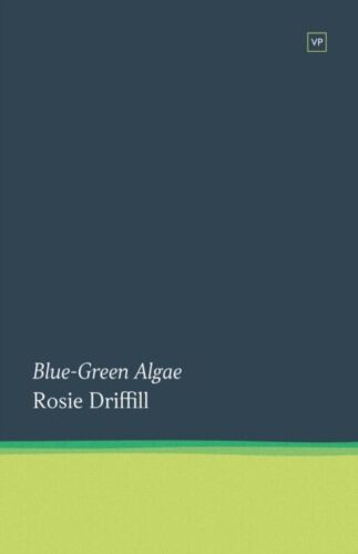 Four fifths of the jacket is a very dark blue. The bottom fifth is a band of lime green which darkens towards the top before the dark blue starts. Text is all white and appears on the dark blue area, left justified, just above the green band. The title is in lower case italics. Below this the author's name is in regular lower case. The two are roughly the same size. 