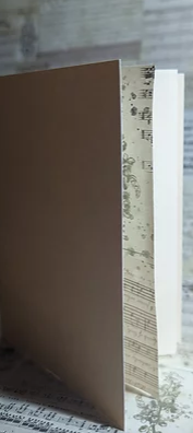 This is a colour photo of a thin booklet standing up. You can see the jacket is a yellowy brown, and there are end papers with some kind of illustration. No print is visible.