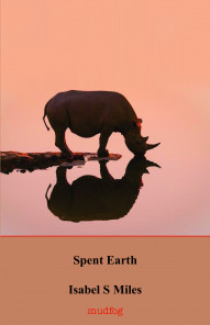pink cover with a black rhino drinking on a shore
