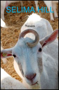 The jacket is a full colour photo of some goats, but only one in full view (the others are backs or legs), and this one is looking up at the reader, its full face and one small curly horn taking up most of the bottom half of the jacket photo. It has a bit of straw or something to one side of its mouth, and ears that stick out sideways. It looks vulnerable and appealing. These goats are all white, but the inside of the goat's ears is a delicate shade of pink. The author's name is centred at the top of the jacket in large blue caps. The title of the collection is centred in small lower case bold black letters about two inches below, so it appears over the white back of the featured goat.