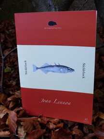 This is a photograph of the pamphlet set against a bed of autumn leaves. The pamphlet is orange with a very wide white band in the middle that occupies at least one third of the area. The white band features a monochrome picture of a stickleback and the word Stickleback appears to both right and left of the fish running vertically.  The author's name appears in white, centred, italicised, below the fish against the orange background. At the top of the jacket (orange area) there is a little black hedgehog (the publisher logo) with The Hedgehog Poetry Press in tiny white writing below it.