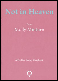 The jacket is a rich pink. The collection title is large, lower-case and bluey green, centred in the top 25% of the jacket. Just above the middle there two lines of white lettering. The first says 'Poems' in tiny italics. The second, much larger regular lowercase, is the name of the author. At the foot of the jacket, the publisher's logo appears in white: it is a circle sitting in a small V. The words 'A Fool for Poetry Chapbook' appear in small white italics about an inch above the logo.