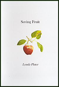 The jacket is white. Title and author's name are in black lower case, and centred on the jacket. The title is larger and in regular font. The author's name is the same font, but smaller and italicised. Between title and author is the  painting of a red apple, with the stalk and three yellowy green leaves. The right side of the apple is orangey yellow and shining.
