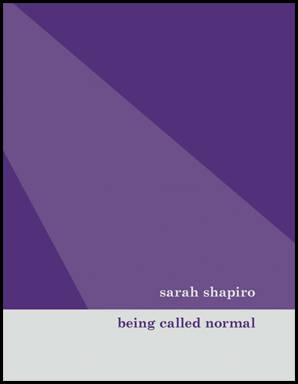 The jacket has a white band across the bottom about an inch and a half deep. Inside this, right justified, is the pamphlet title in fairly small bold lower case, colour purple. The rest of the jacket is a middle shade of purple, though part of it is a lighter purple -- the lighter part looks almost like beam of light coming from the top left hand side and widening towards the right. Inside the lighter beam, just above the white band and also justified right, the author's name appears in bold white lower case, same size as the pamphlet title. No other text or imagery is visible.