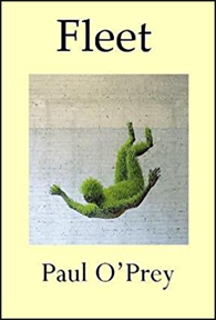 The background jacket colour is pale yellow. In the middle is a large grey-blue box containing a picture, a representation, not a photo, of a person falling into water, the body submerged except for a toe tip. The body appears to be naked and green. Above the box with the graphic is the title in very large bold blue lower case letters. The author's name is below the graphic in the same font but smaller. 