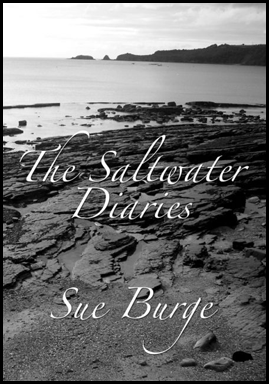 The whole jacket is filled with a monochrome photograph of the sea shore, with sand, rocks, the sea and in the distance a hilly promontory. The title and author's name are both centred in large white italic/calligraphic font, the title being bang in the centre, the author's name in the bottom quarter.