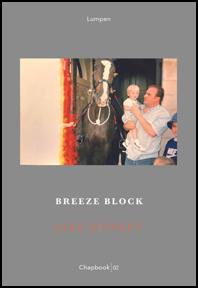 The jacket is grey with a full colour photo placed just above half way up and occupying about a third of the total space. It shows a man in a shirt, sleeves rolled up, holding a little boy on one arm and looking into his face. Just beside them is a brown horse with a white flash running down head and nose. They're probably all in the doorway to a stable. Text is on the grey area centred. The title is in small white caps below the photo. The author's name is below this in thinner, taller, orangey-red caps. 