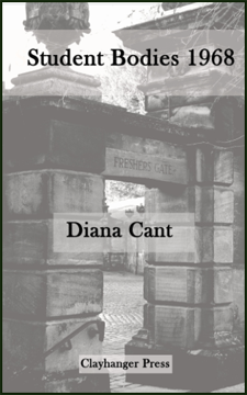 The jacket shows a monochrome photograph of a stone gateway. All text is black, the title in bold lower case near the top, the author's name just below centre in a closely similar fontsize, the press name at the foot, much smallwer. Each piece of text is placed against a pale grey background, like a label, but see-through.