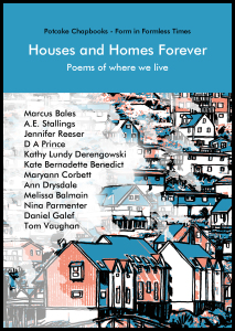 This is an A6 publication, pocket-sized. The jacket has a blue band at the top, in which the title and subtitle appear in white lower case print. the rest of the pamphlet shows a design of houses of different shapes and sizes, using blue and pink as key colours. The design blurs into a white cloud on the left hand side, and here the names of contributors are listed in small black lowercase letters.